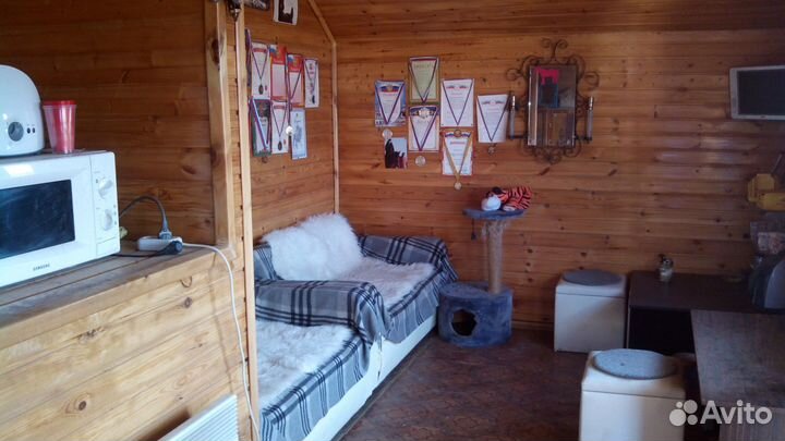 Постой лошади