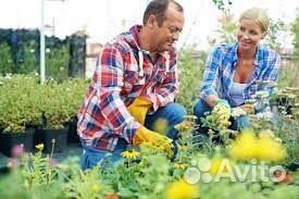 Семейная пара помощники по хозяйству с проживанием