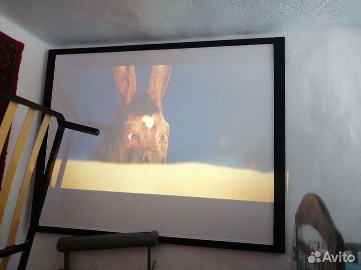 Экран для проектора