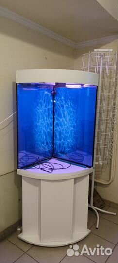 Аквариум 200 свет биофильтр фон подставка