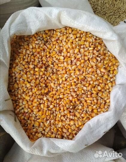 Продажа зерна