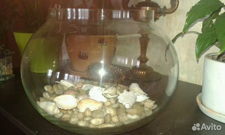 Круглый аквариум