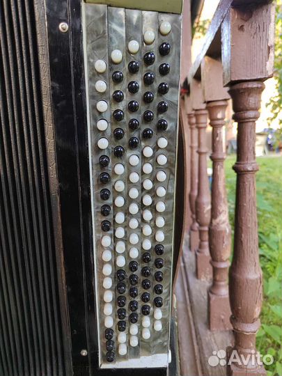 Баян Тульский 1958 г