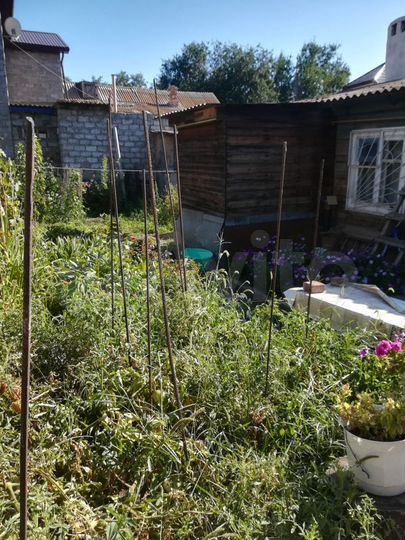 Дом 53 м² на участке 3,3 сот.