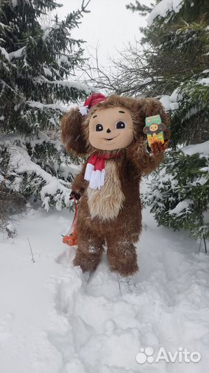 Экспресс поздравление Ушастик ростовая кукла