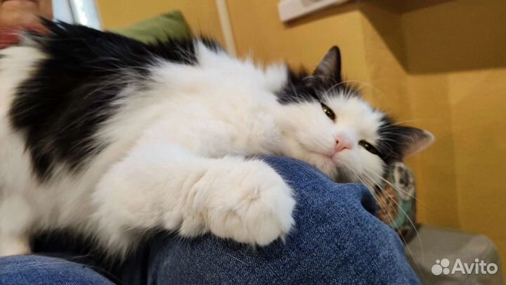 Лайза ищет теплый уголок