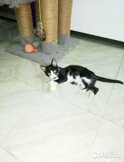 Супер ласкуша Мила