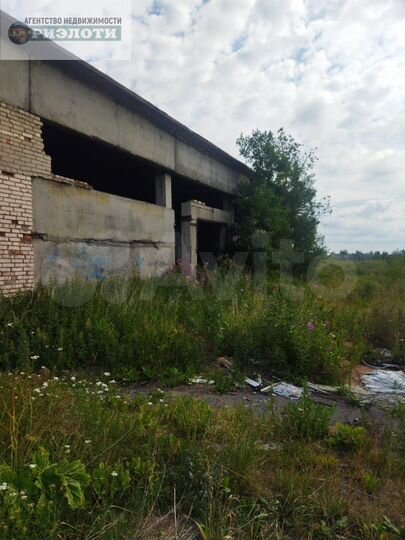 Участок 54,9 сот. (промназначения)