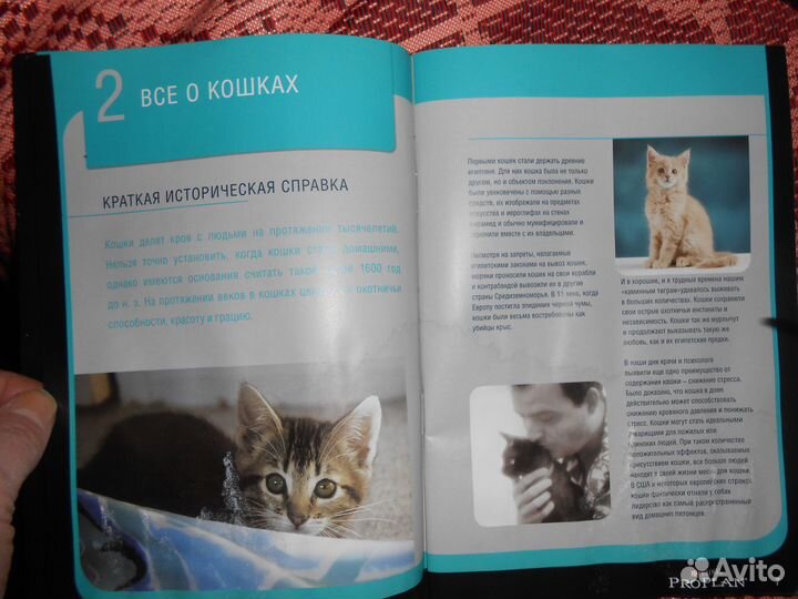 Purina Pro Plan Руководство По уходу за Котёнком