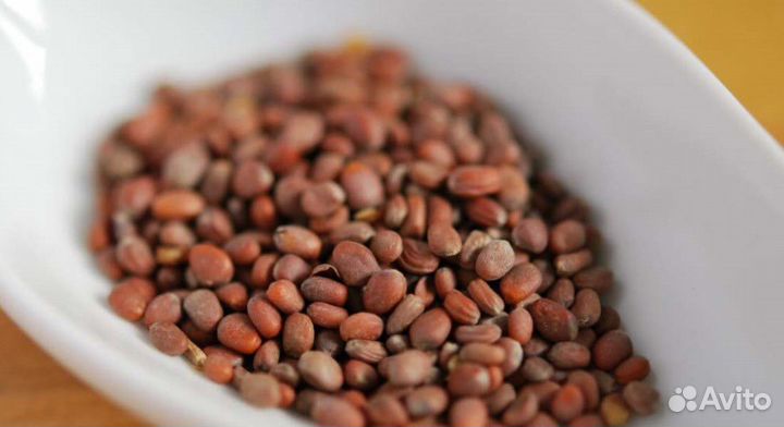 Семена для микрозелени