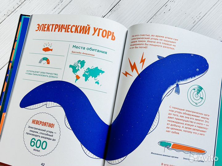 Электрические рыбы