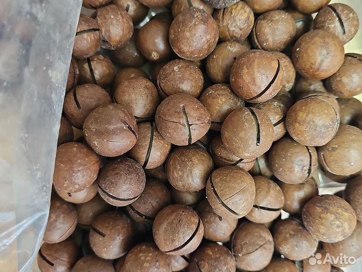 Макадамия орех