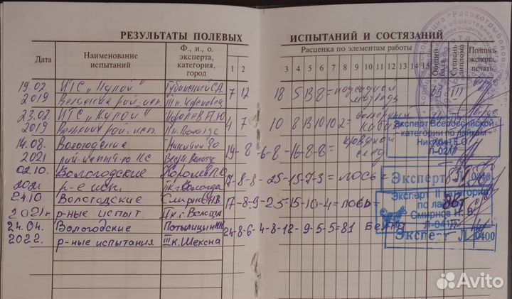 Продаются щенки западно сибирской лайки