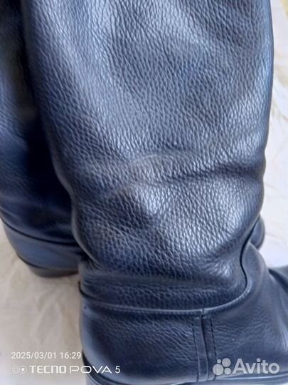 Сапоги женские