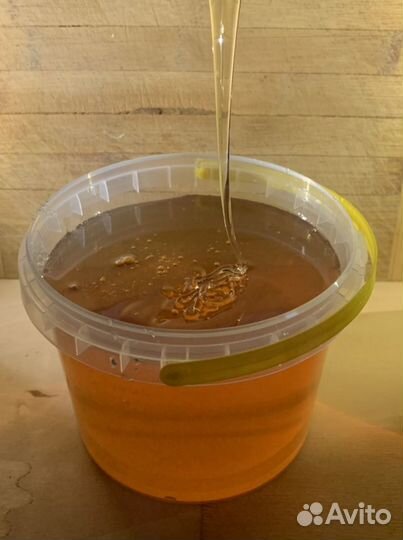 Мёд горный, Казахстан, 2024г