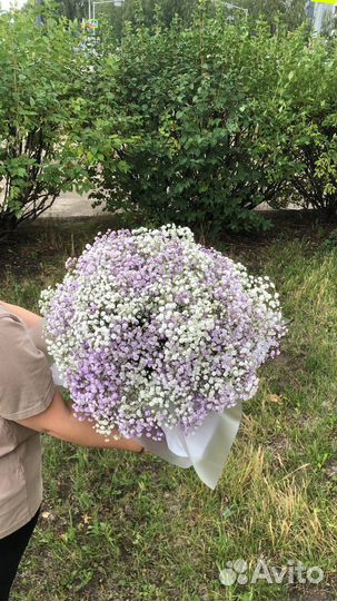 Букет из гипсофилы