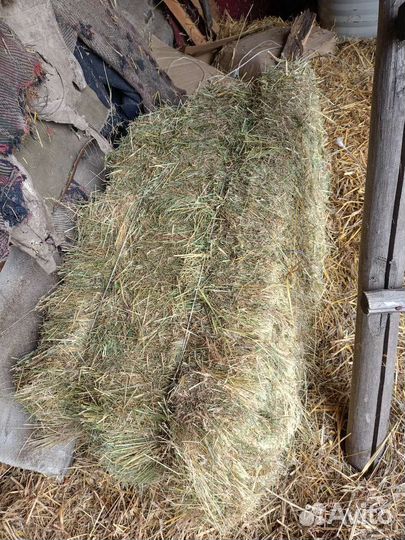 Сено в тюках