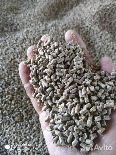 Корм для кур несушек