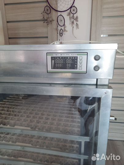 Инкубатор 750