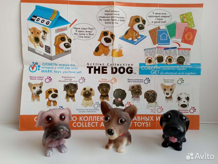 Коллекция 2013 г. The Dog