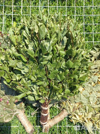 Веники для бани, запарки для бани, эфирные масла