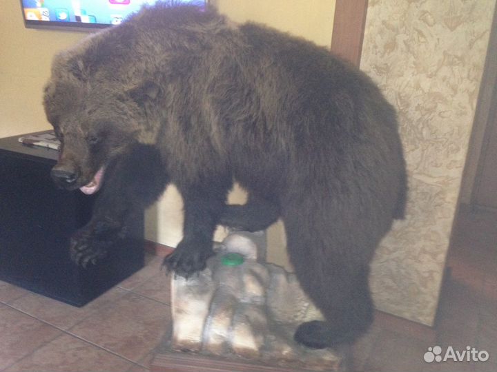 Чучело животных (имитация)