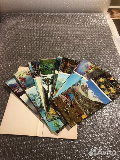 Цветы гор набор открыток