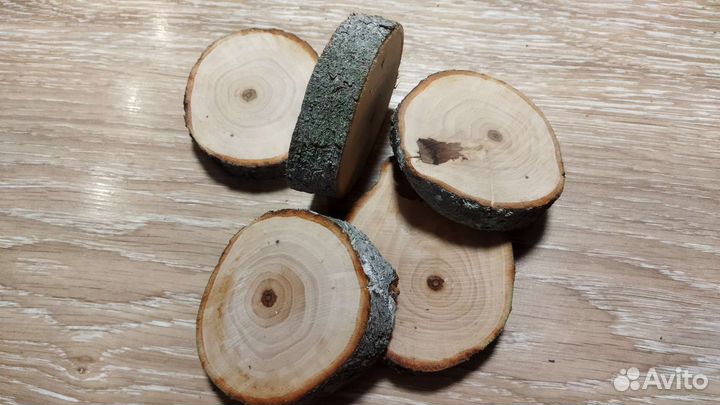 Спилы дерева