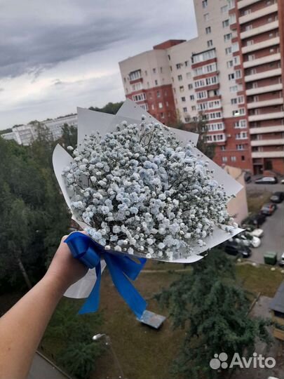 Букет из гипсофилы