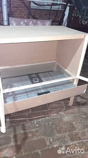 Брудеры для цыплят