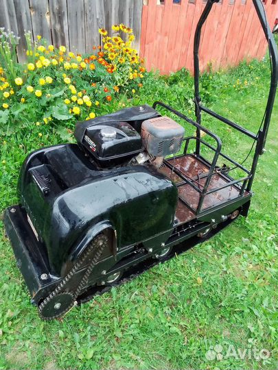 Мото собака