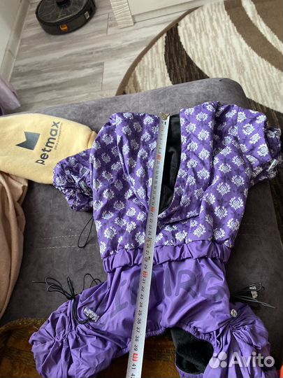 Одежда для собак чихуахуа и французкиц бульдог