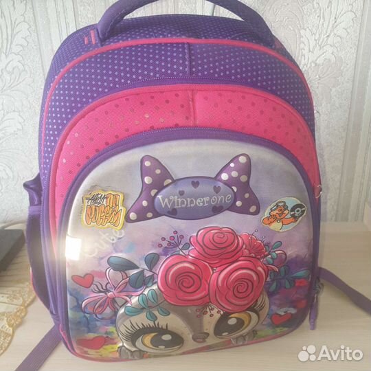 Рюкзаки ранцы для школы