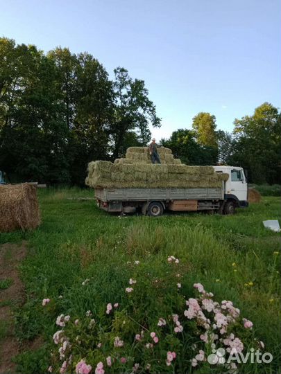 Грузчик сена