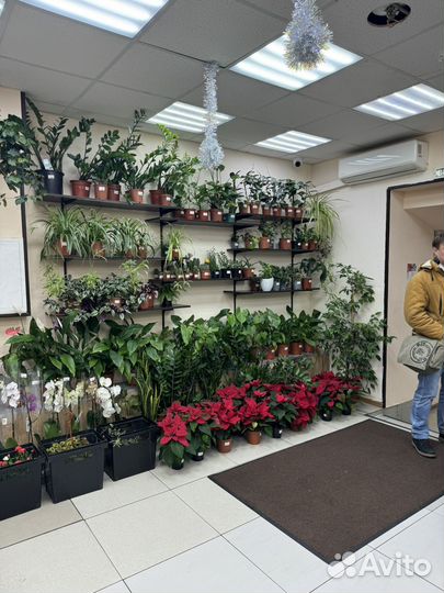 Готовый арендный бизнес с арендаторами