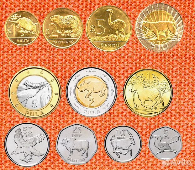 Животные - наборы разных стран