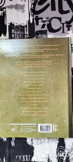 Атлас анатомии человека