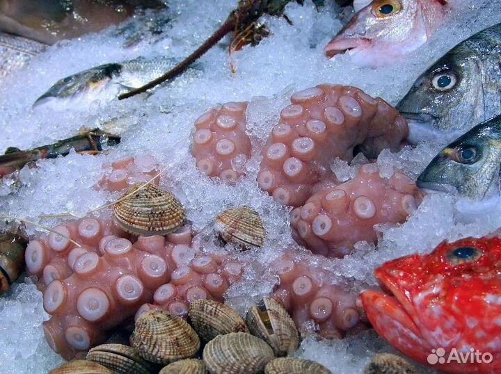 В продаже готовый бизнес – магазин рыбы