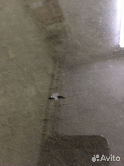 Лобовое стекло skoda octavia a5