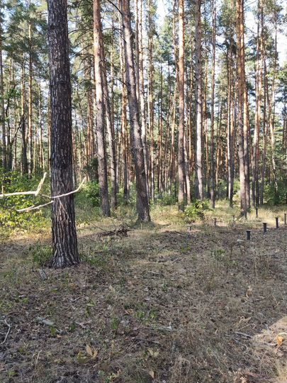 Участок 20 сот. (ИЖС)