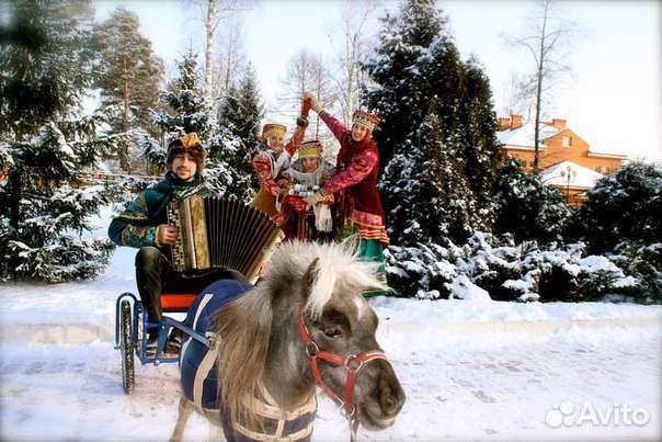 Баянист на праздник