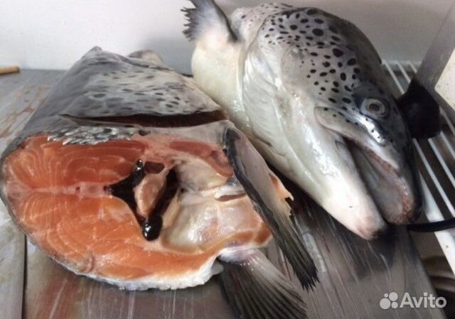 Головы семги