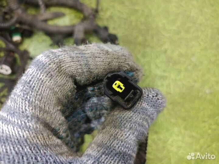 Проводка двигателя Volvo S40 седан 1.6 B4164S3