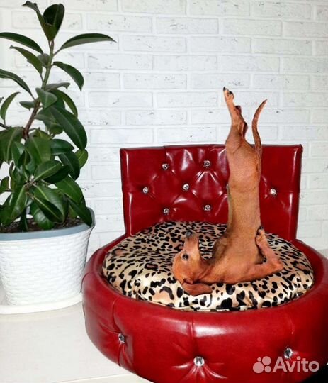 Лежанка-диван для собак и кошек