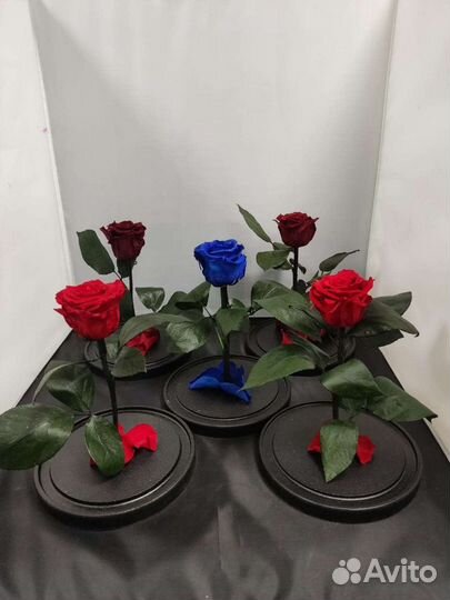 Роза в колбе оптом