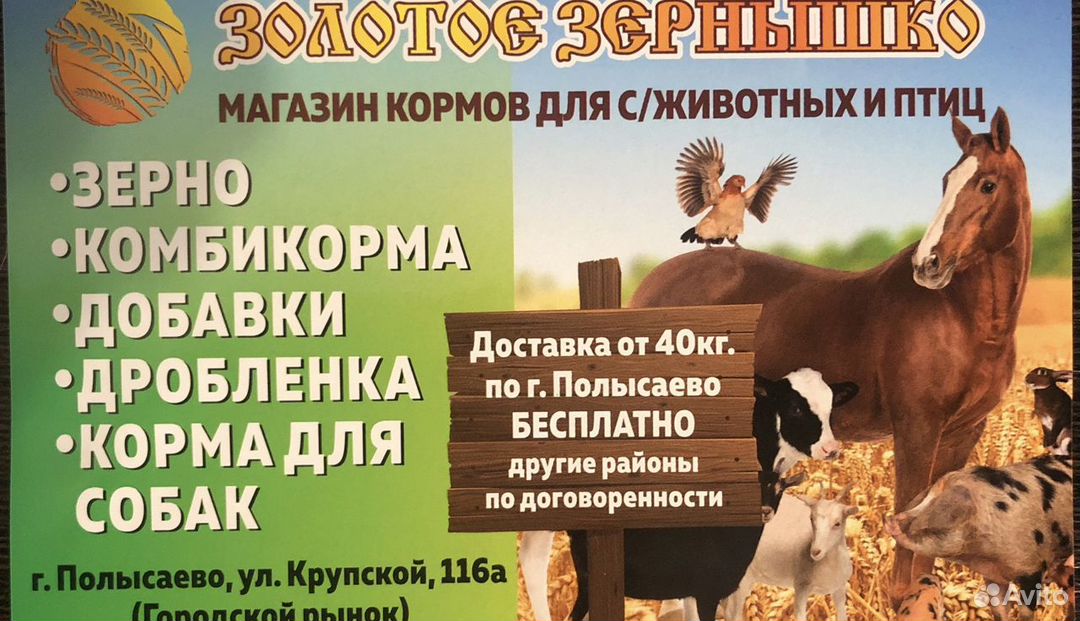 Поилки для птиц купить в Ленинске-Кузнецком, Животные и зоотовары