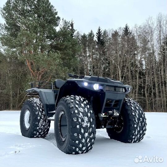 Снегоболотоход 