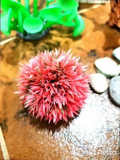 Декор для аквариума