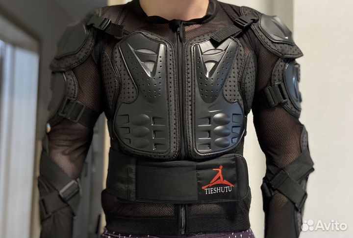 Мотокурта (черепаха)