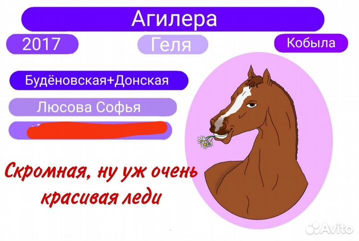 Таблички на денник для лошади